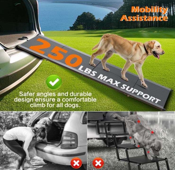 Dog Ramp for Car